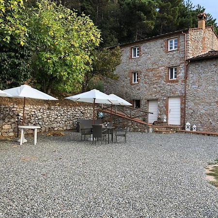 Appartement Agriturismo Le Vallilunghe à Lucques Extérieur photo
